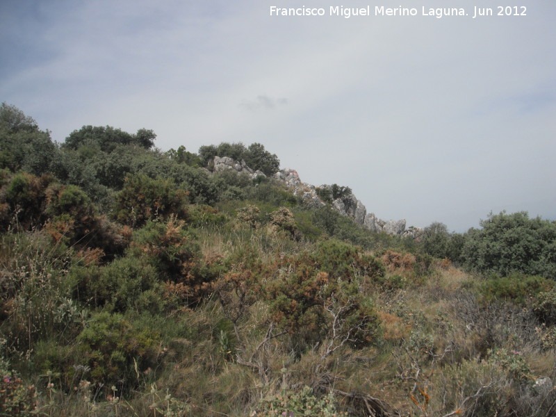 Cerro Miguelico - Cerro Miguelico. 