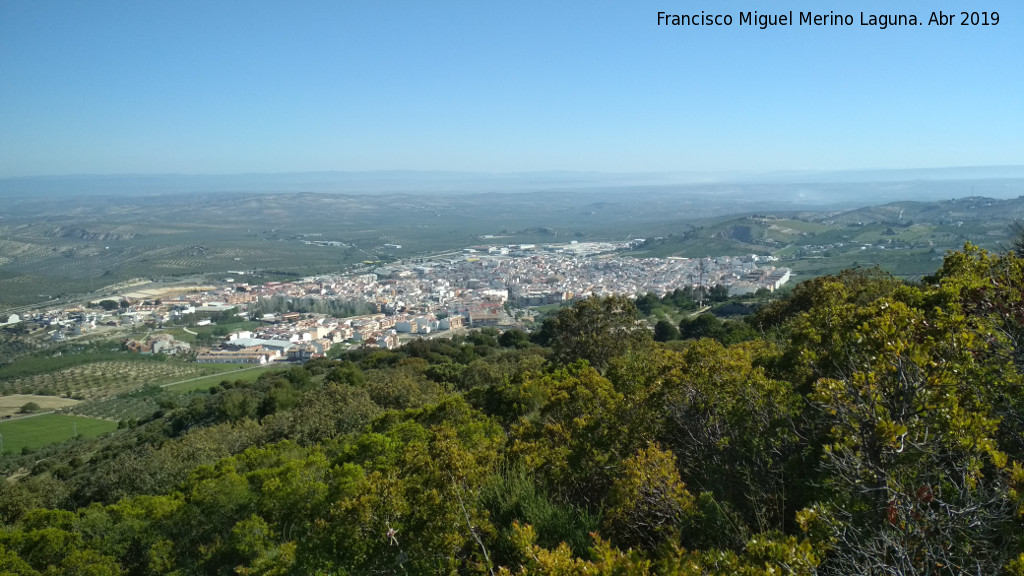 Cerro Miguelico - Cerro Miguelico. Vistas a Torredelcampo