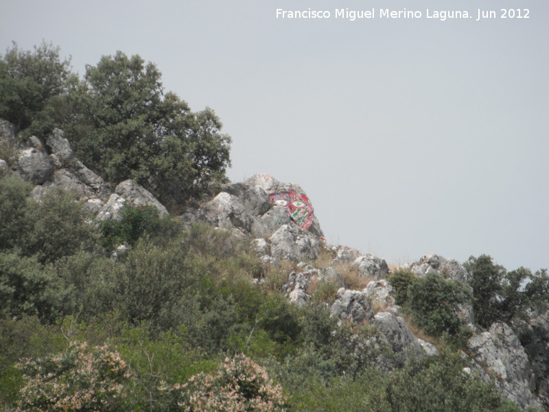 Piedra Pintada del Cerro Miguelico - Piedra Pintada del Cerro Miguelico. 