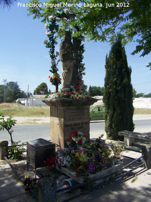 Monumento a la Virgen Madre de Dios del Campo - Monumento a la Virgen Madre de Dios del Campo. 