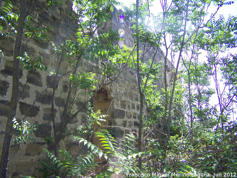 Ermita-Hospedera Madre de Dios del Campo - Ermita-Hospedera Madre de Dios del Campo. Muro del patio del ala Este