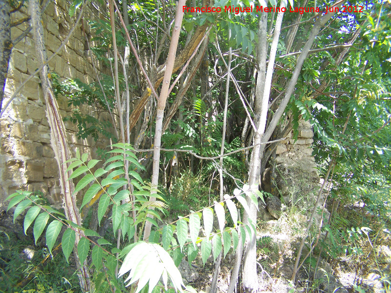 Ermita-Hospedera Madre de Dios del Campo - Ermita-Hospedera Madre de Dios del Campo. Construcciones anexas al muro Este