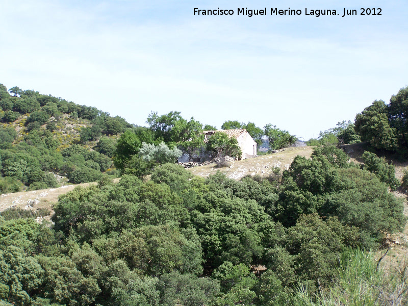 Cortijo de Fuentenueva - Cortijo de Fuentenueva. 