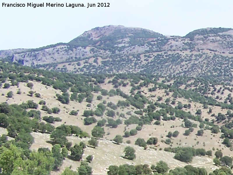 Cerro El Tejuelo - Cerro El Tejuelo. 