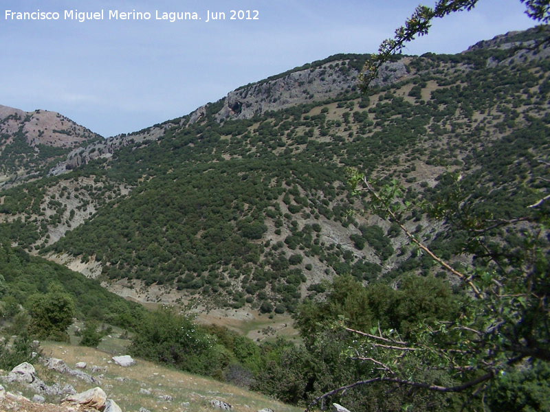 Lomas de Carboneros - Lomas de Carboneros. 