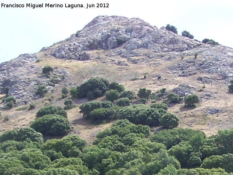 Monte de las nimas - Monte de las nimas. 