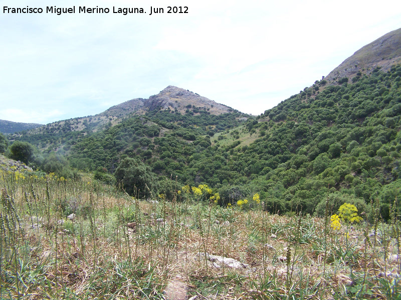 Monte de las nimas - Monte de las nimas. 