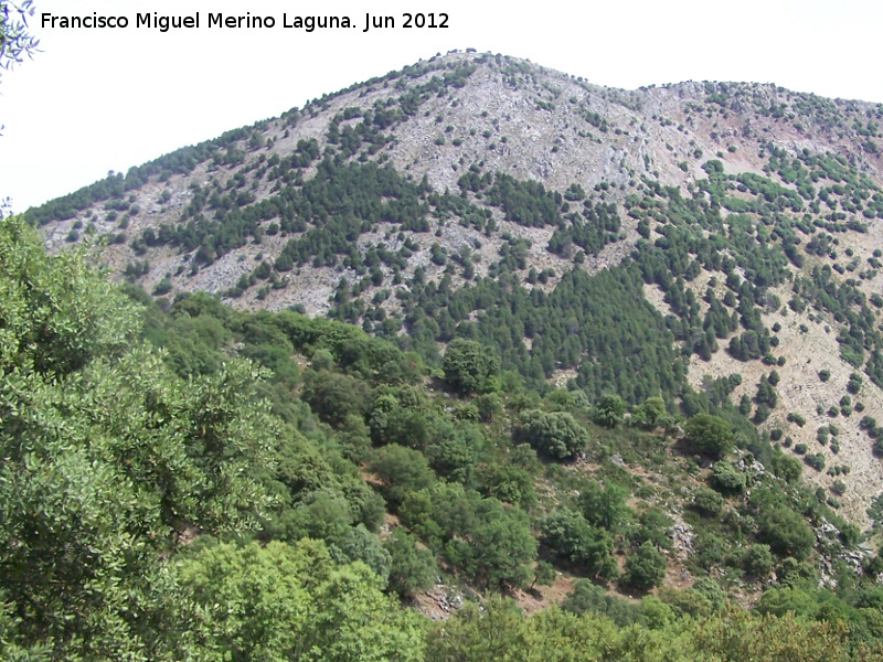 Cerro La Solana - Cerro La Solana. 