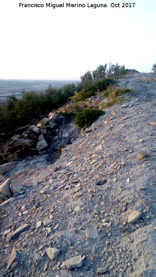 Oppidum Cerro Bollero - Oppidum Cerro Bollero. Lnea de muralla