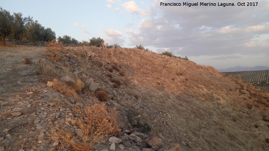 Oppidum Cerro Bollero - Oppidum Cerro Bollero. Lnea de muralla