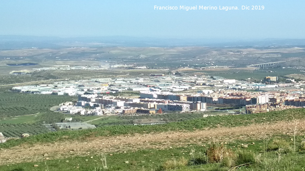 Ja�n - Ja�n. Pol�gono de los Olivares