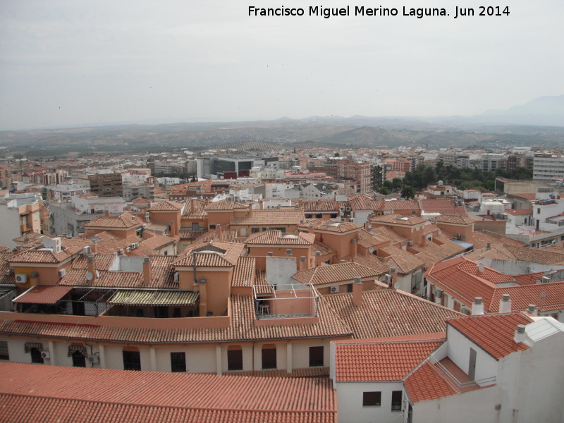 Jan - Jan. Desde la azotea del Palacio de Villardompardo