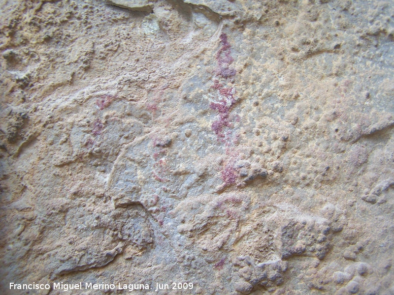 Pinturas rupestres del Abrigo de la Diosa - Pinturas rupestres del Abrigo de la Diosa. Barra fina con restos de pinturas a su izquierda