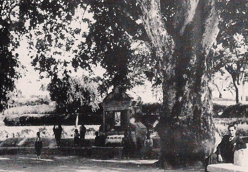 Fuente del Pltano - Fuente del Pltano. Foto antigua
