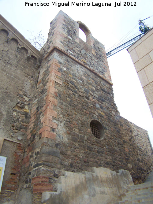 Catedral de Santa Mara la Vieja - Catedral de Santa Mara la Vieja. Torre campanario