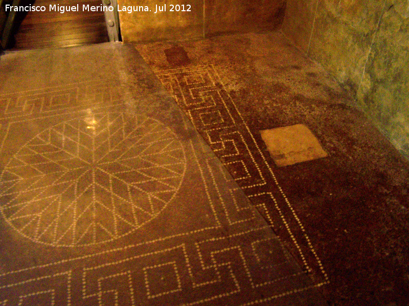 Vivienda Romana de la Catedral Antigua - Vivienda Romana de la Catedral Antigua. Mosaico