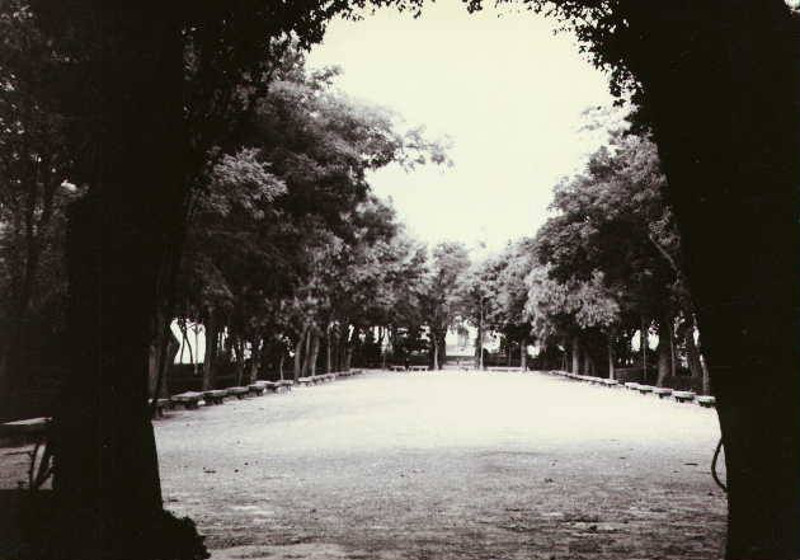 Paseo de la Alameda - Paseo de la Alameda. Foto antigua