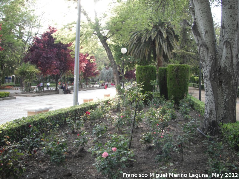 Paseo de la Alameda - Paseo de la Alameda. Jardines