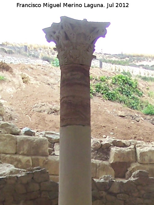 Termas Romanas - Termas Romanas. Columna del peristilo