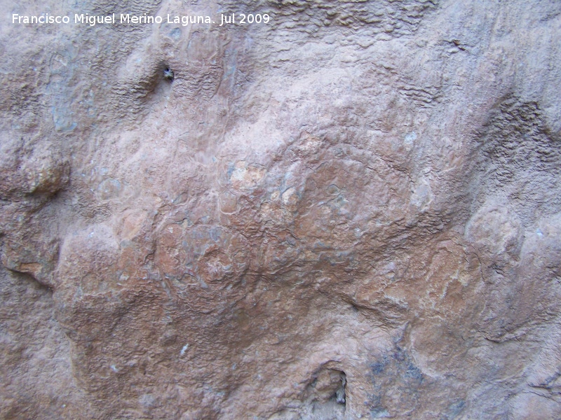Petroglifos rupestres de El Toril - Petroglifos rupestres de El Toril. Crculos