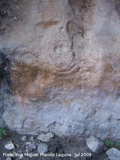 Petroglifos rupestres de El Toril - Petroglifos rupestres de El Toril. Conjunto de crculos debajo del antropomorfo con forma de raspa