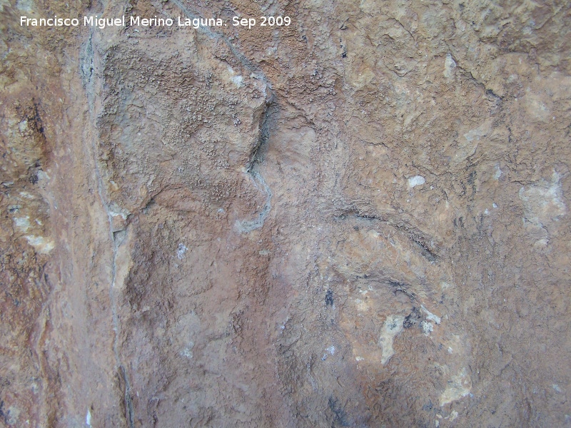 Petroglifos rupestres de El Toril - Petroglifos rupestres de El Toril. Crculos del abrigo izquierdo formando una figura similar a la del abrigo grande derecho