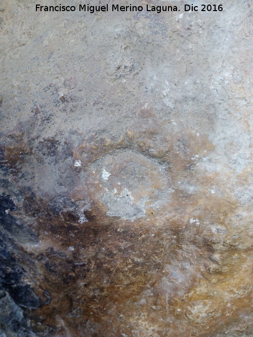 Petroglifos rupestres de El Toril - Petroglifos rupestres de El Toril. Petroglifo circular