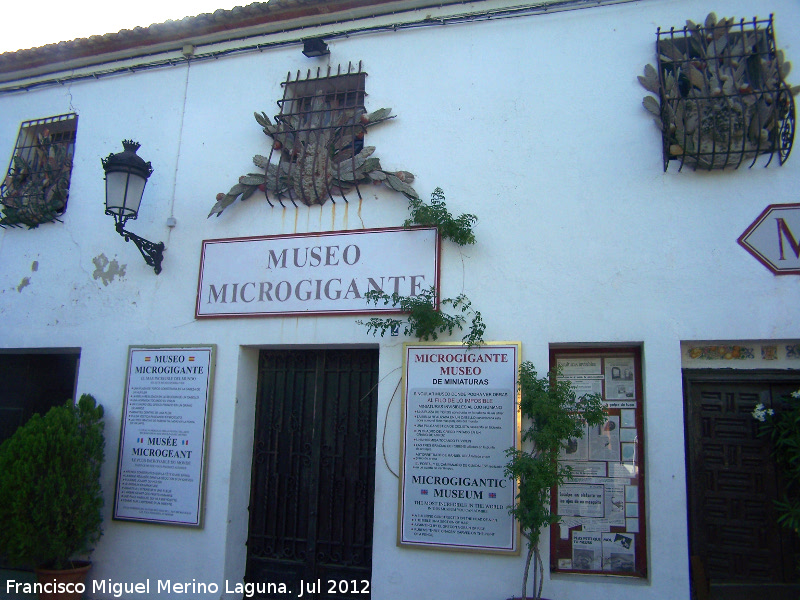 Museo Microgigante - Museo Microgigante. Fachada