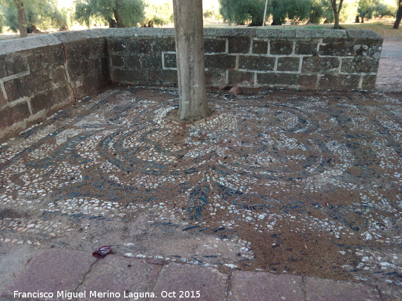 Ermita de la Virgen de la Encina - Ermita de la Virgen de la Encina. Mosaico roto por criprs