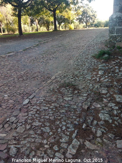 Ermita de la Virgen de la Encina - Ermita de la Virgen de la Encina. Empedrado lateral