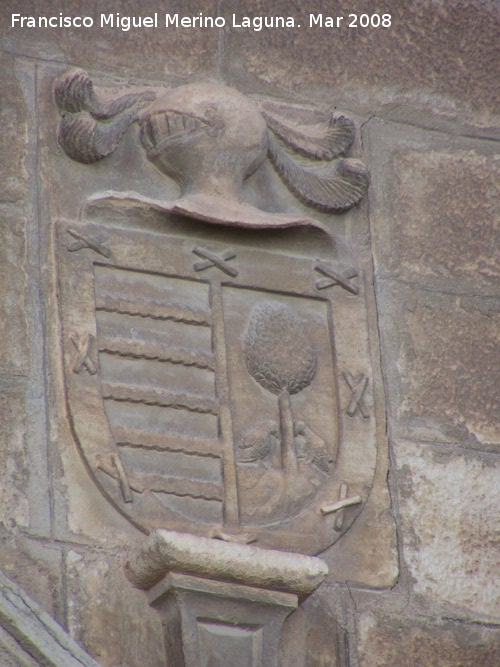 Carniceras Pblicas - Carniceras Pblicas. Escudo derecho de D. Agustn Marn de Viedma Caballero Veinticuatro