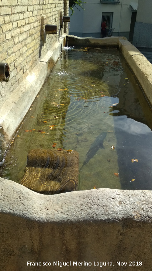 PIlar de los Tres Caos - PIlar de los Tres Caos. Carpa