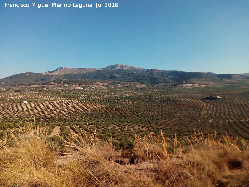 Oppidum Cerro Guinea - Oppidum Cerro Guinea. Vistas hacia la sierra