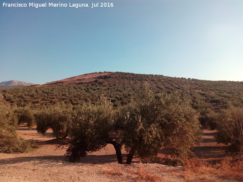 Oppidum Cerro Guinea - Oppidum Cerro Guinea. 