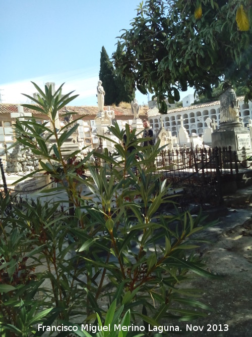 Cementerio de San Eufrasio - Cementerio de San Eufrasio. 