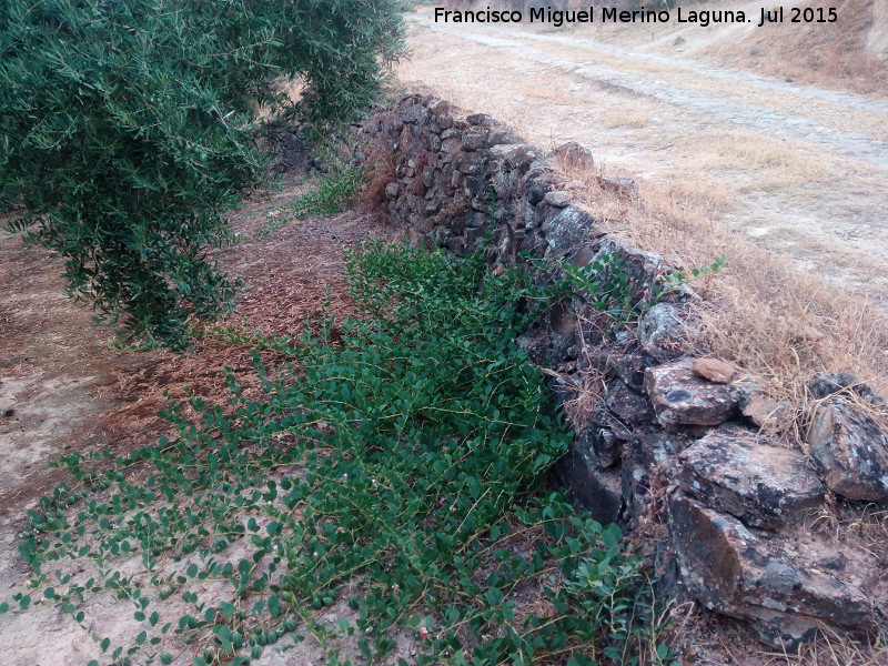 Era del Cerrajn I - Era del Cerrajn I. Muro trasero