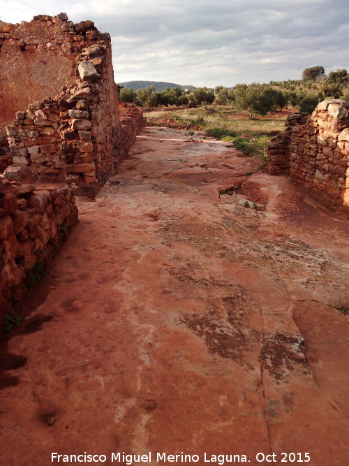 Cortijo de Canuto - Cortijo de Canuto. Despus de la excavacin