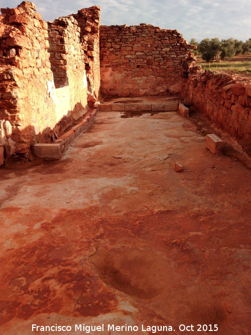 Cortijo de Canuto - Cortijo de Canuto. 