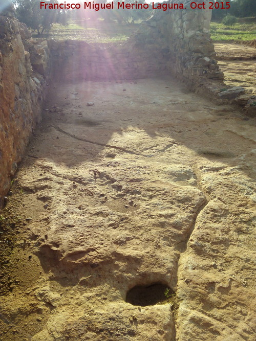 Cortijo de Canuto - Cortijo de Canuto. 