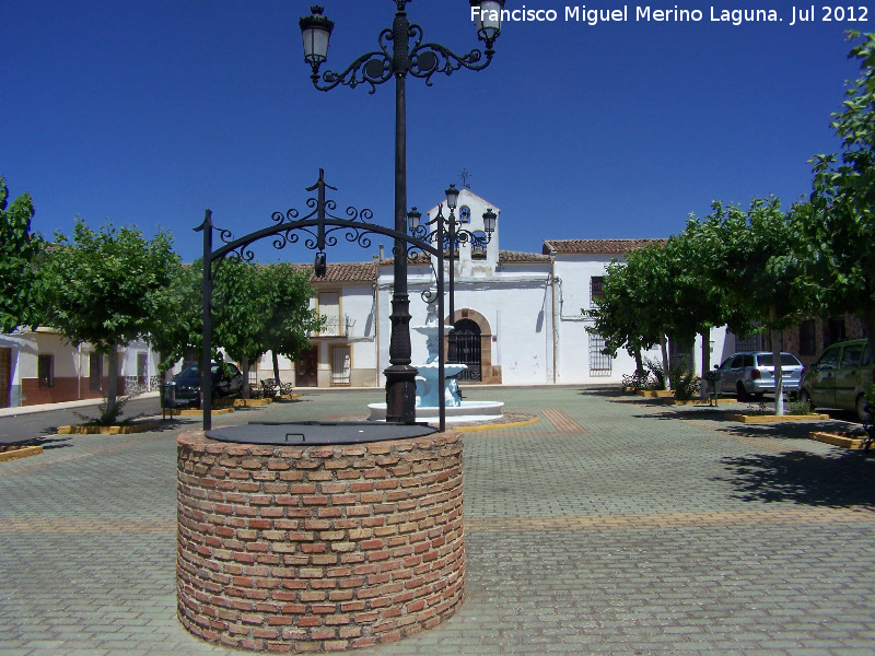 Plaza del Doctor Rey Martnez - Plaza del Doctor Rey Martnez. 