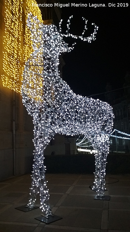 Palacio de la Diputacin - Palacio de la Diputacin. Iluminacin navidea