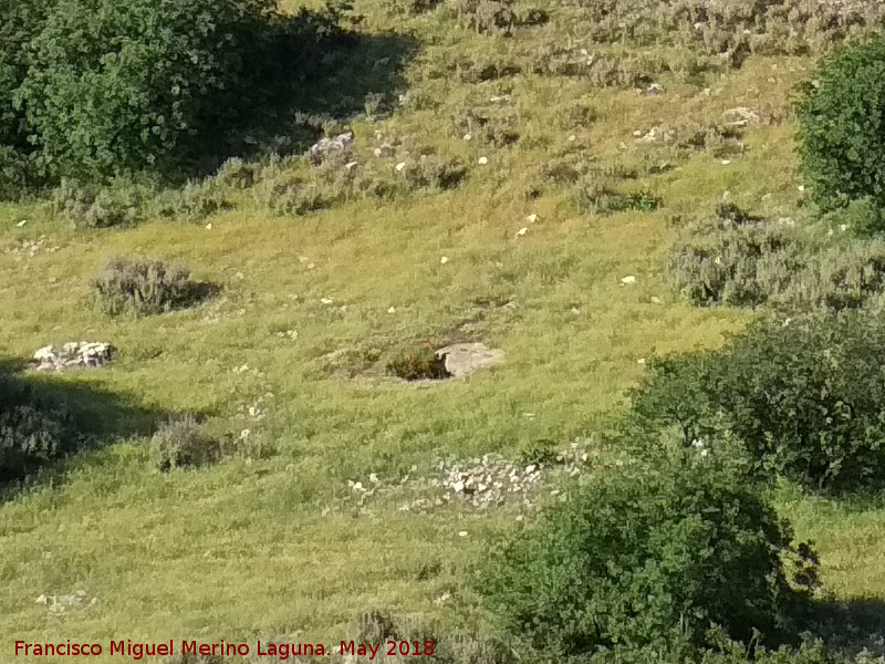 Dolmen del Collado de los Bastianes - Dolmen del Collado de los Bastianes. Desde el Cerro Veleta