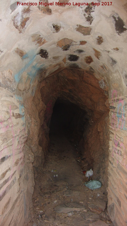 Cueva de la Mona - Cueva de la Mona. Interior