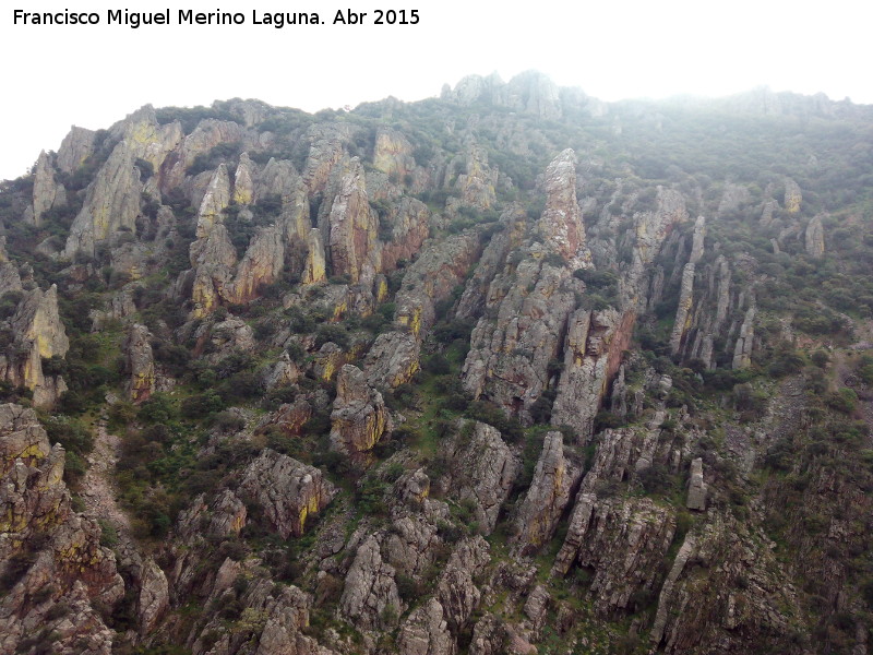 Despeaperros - Despeaperros. Ladera del Cerro Castillo