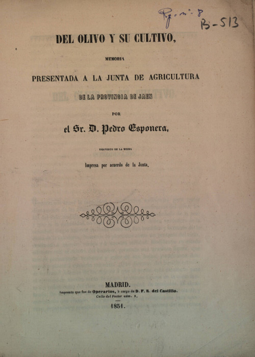 Olivo - Olivo. El olivo y su cultura 1851