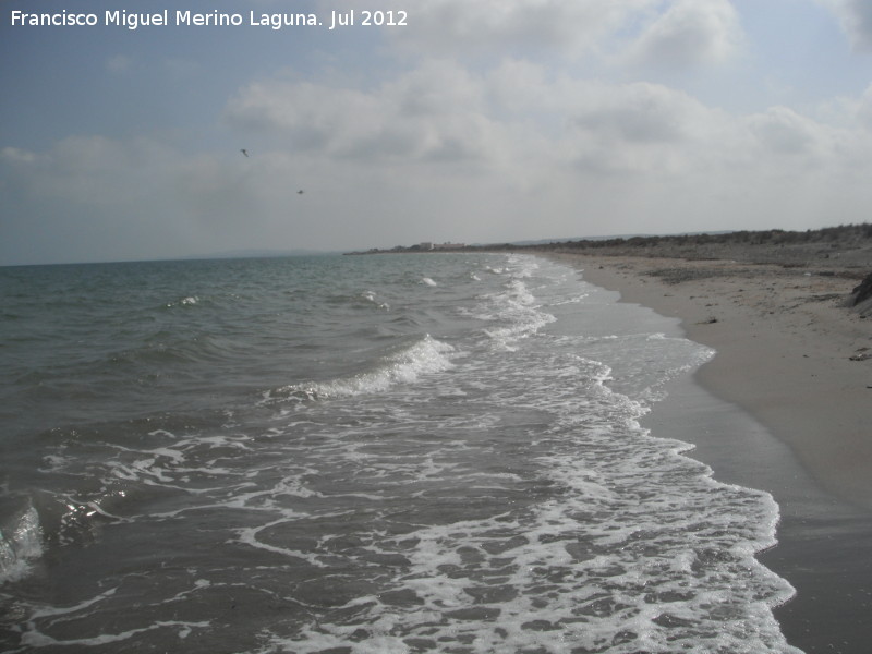 Playa del Pinet - Playa del Pinet. 