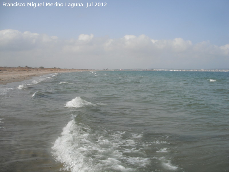 Playa del Pinet - Playa del Pinet. Al fondo Santa Pola