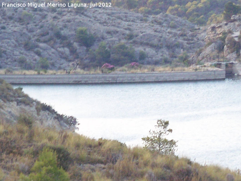 Pantano de Tibi - Pantano de Tibi. Presa