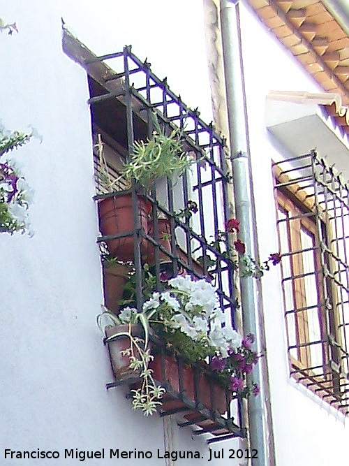Casa de la Calle Baja de San Jorge n 24 - Casa de la Calle Baja de San Jorge n 24. Rejera de poca
