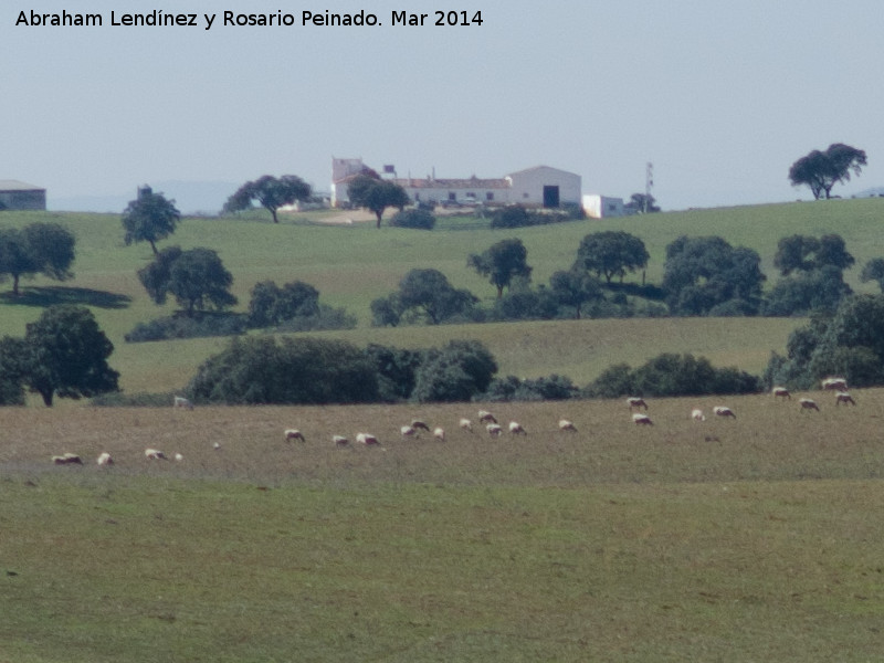 Cortijo de Vaquetas - Cortijo de Vaquetas. 